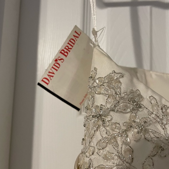 David’s Bridal Wedding Dress Ivory/Champagne Size 8 - Picture 13 of 14